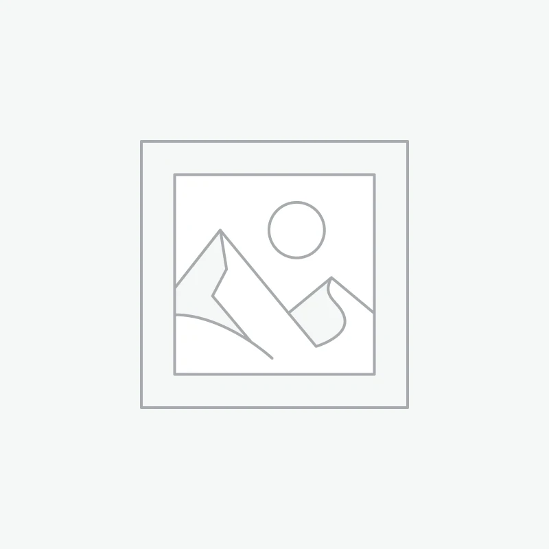 Без категории