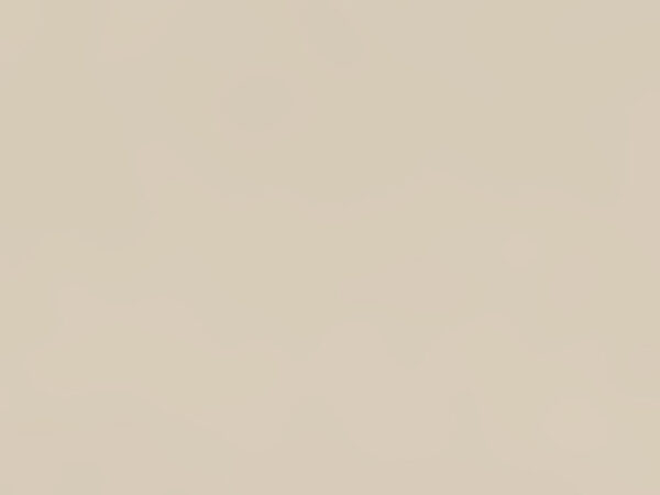 ЛДСП Swiss Krono U119 Hansa Beige 18мм