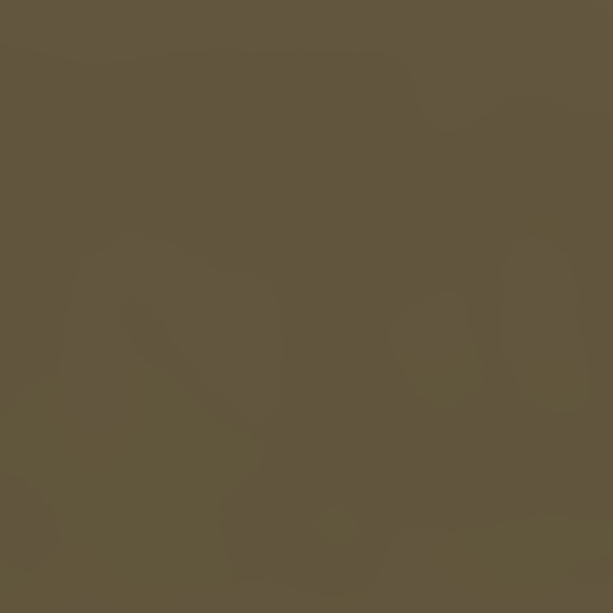 Melamine faced particleboard Swiss Krono 3189 VL Truffle 18mm