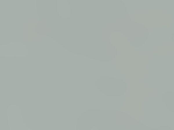 ЛДСП Swiss Krono U544 VL Серый полевой 18мм