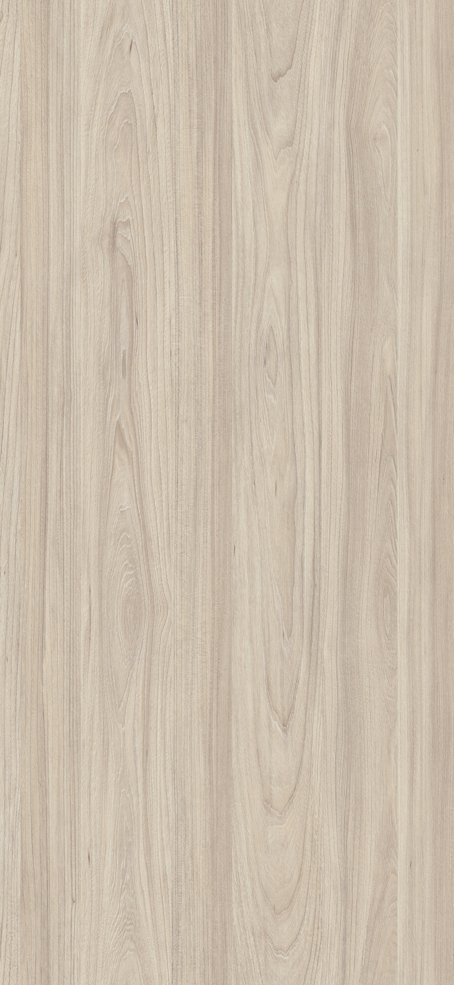 ЛДСП Swiss Krono 8141 Вяз Шампань 18мм — изображение 2