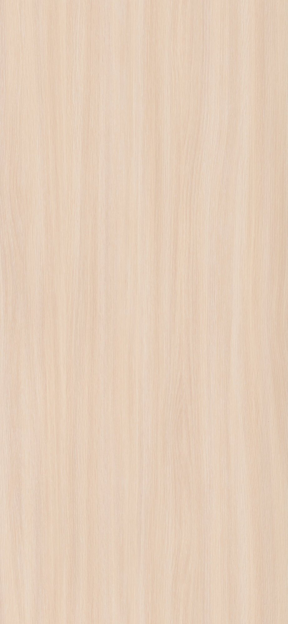 Melamine faced particleboard Swiss Krono 8622 PR Milky Oak, 18mm. - Image 2