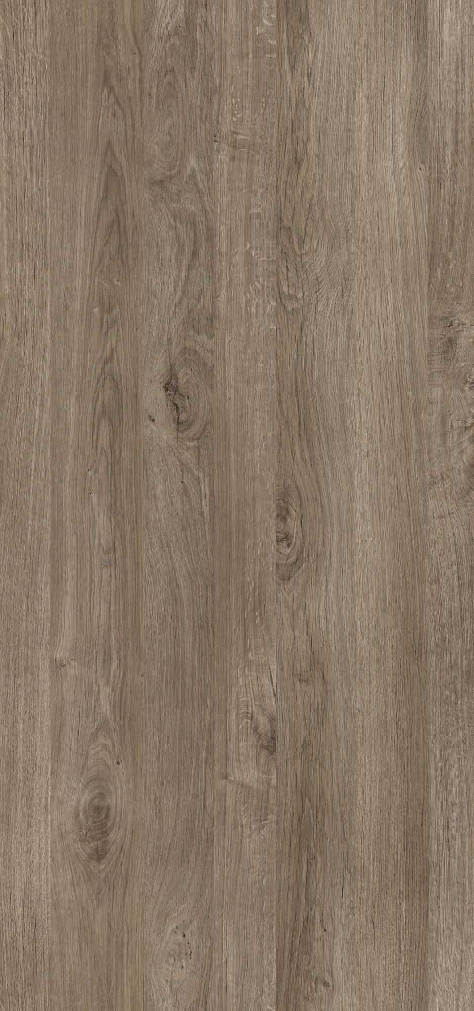 ЛДСП Swiss Krono 1892 Дуб Палена 18мм — изображение 2