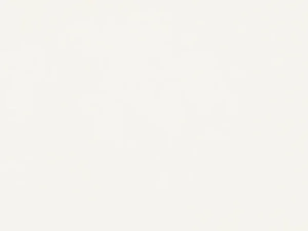 ЛДСП Egger W960 SM Белый классический 18мм